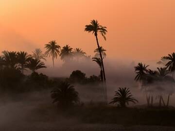 Public Photo of pimpi1986